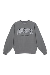 Sweatshirt_ Gray Crewneck Athleisure