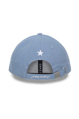 Light Blue_Insignia